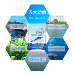浅谈水族净水产品的清洁与绿水为食
