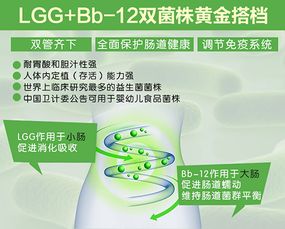 科学选购益生菌产品 从理论到实践的全攻略