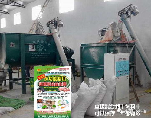 秘密曝光 广西数千猪场依赖的益生菌配方揭秘，你也能自制