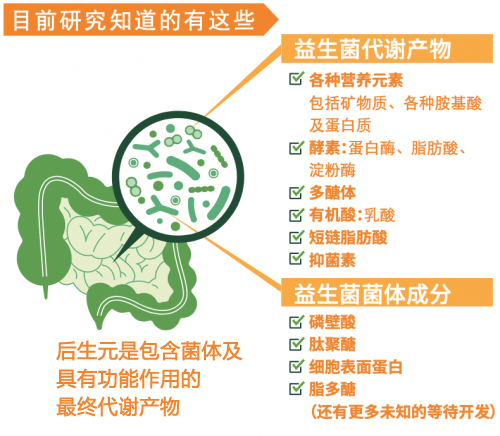 后生元--新一代益生菌!益生菌食品打造&ldquo;食、养、健&rdquo;产业帯
